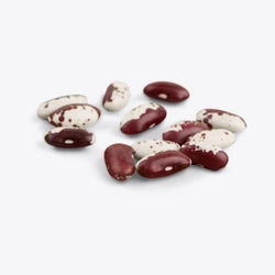 Оцветен боб - орел 2 кг - TOLA