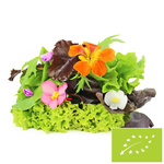 Прясна неизмита смес от марули BIO (приблизително 0,10 кг)