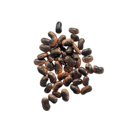 Оцветен боб Jas 25 кг - TOLA