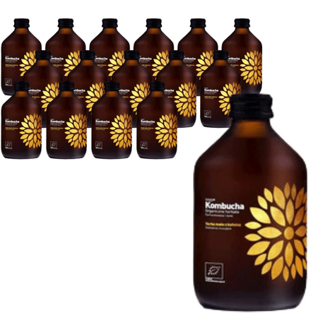 ZESTAW 16 x Kombucha Yerba Mate BIO 330 ml