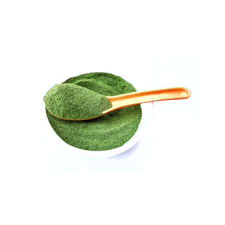 Моринга - прах 5 кг - TOLA