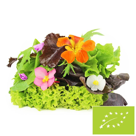 Прясна неизмита смес от марули BIO (приблизително 0,10 кг)