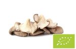Гъба стриди BIO 200 g