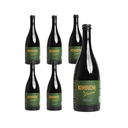 КОМПЛЕКТ 6 x Kombucha Elixir of Love Bio 750 ml - Kombucha by Laurent (Premium)