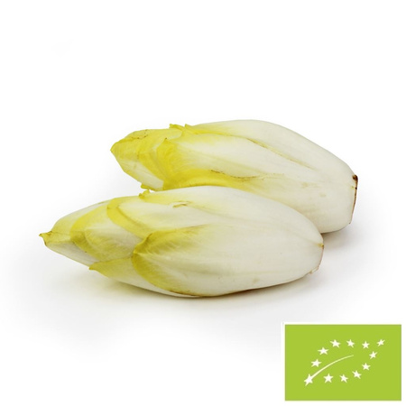 Cykoria Świeża Bio