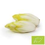 Cykoria Świeża Bio